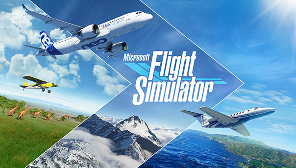 Microsoft Flight Simulator 2020