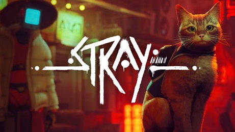 Stray download