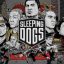 Sleeping Dogs PC Game Full Version Free Download