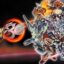 Super Robot Wars 30 PC Game Free Download
