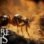 Empire of the Ants PC Game Free Download